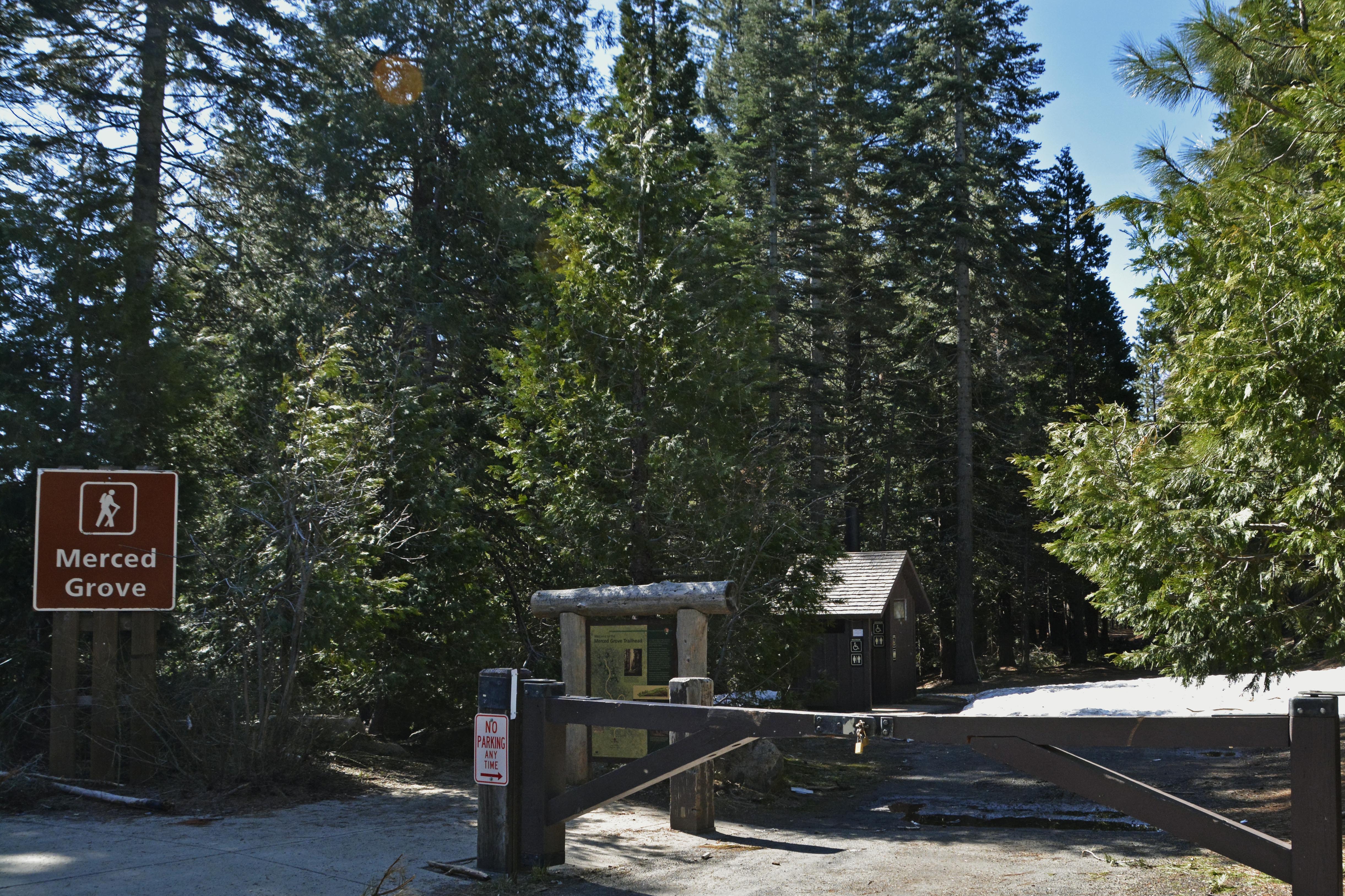 Yosemite, Mereced Grove