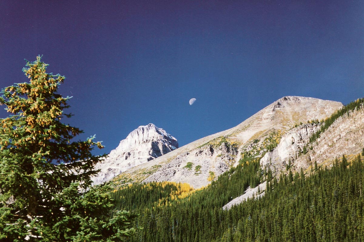 00007-007-SCAN0247