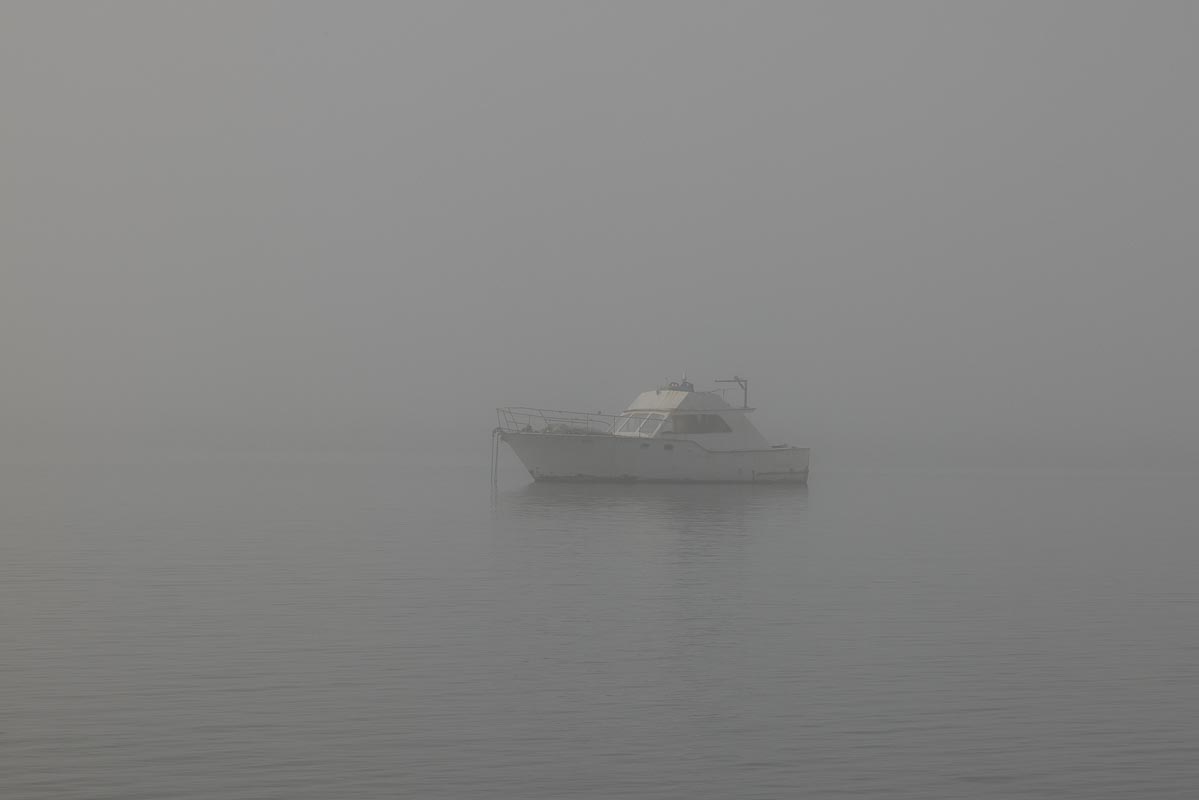 00009-009-4F8A0290