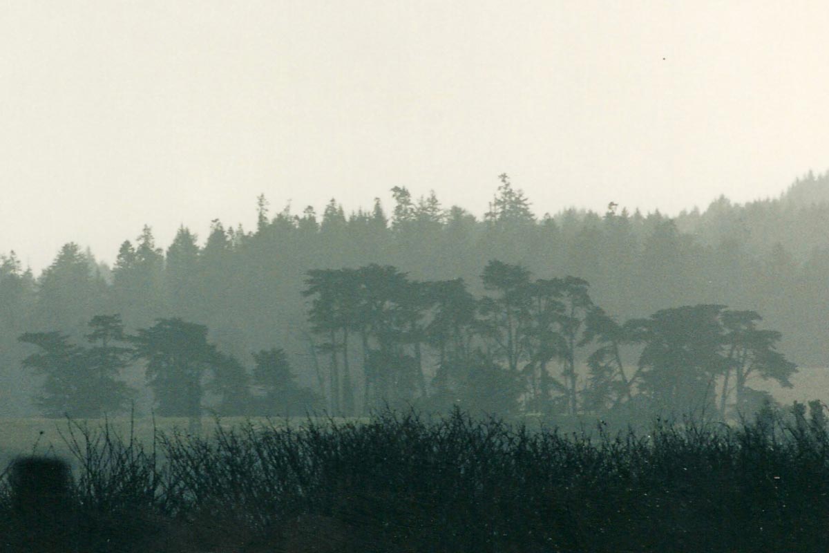 00004-004-0015-SCAN0846