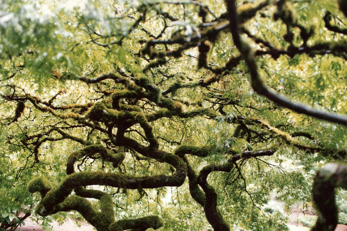 00011-011-SCAN0223