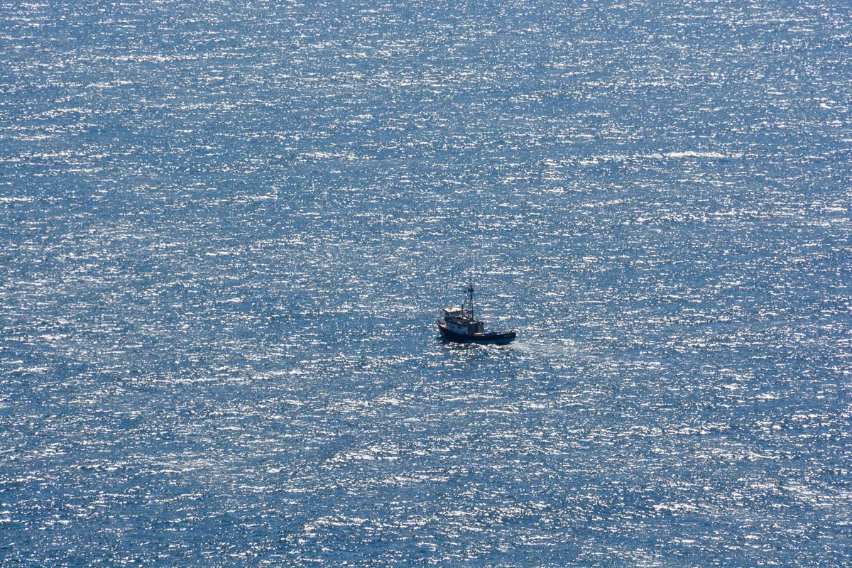 00011-011-_BB20891
