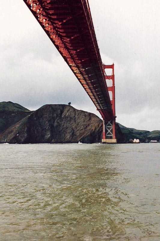 00019-019-0116-SCAN0937