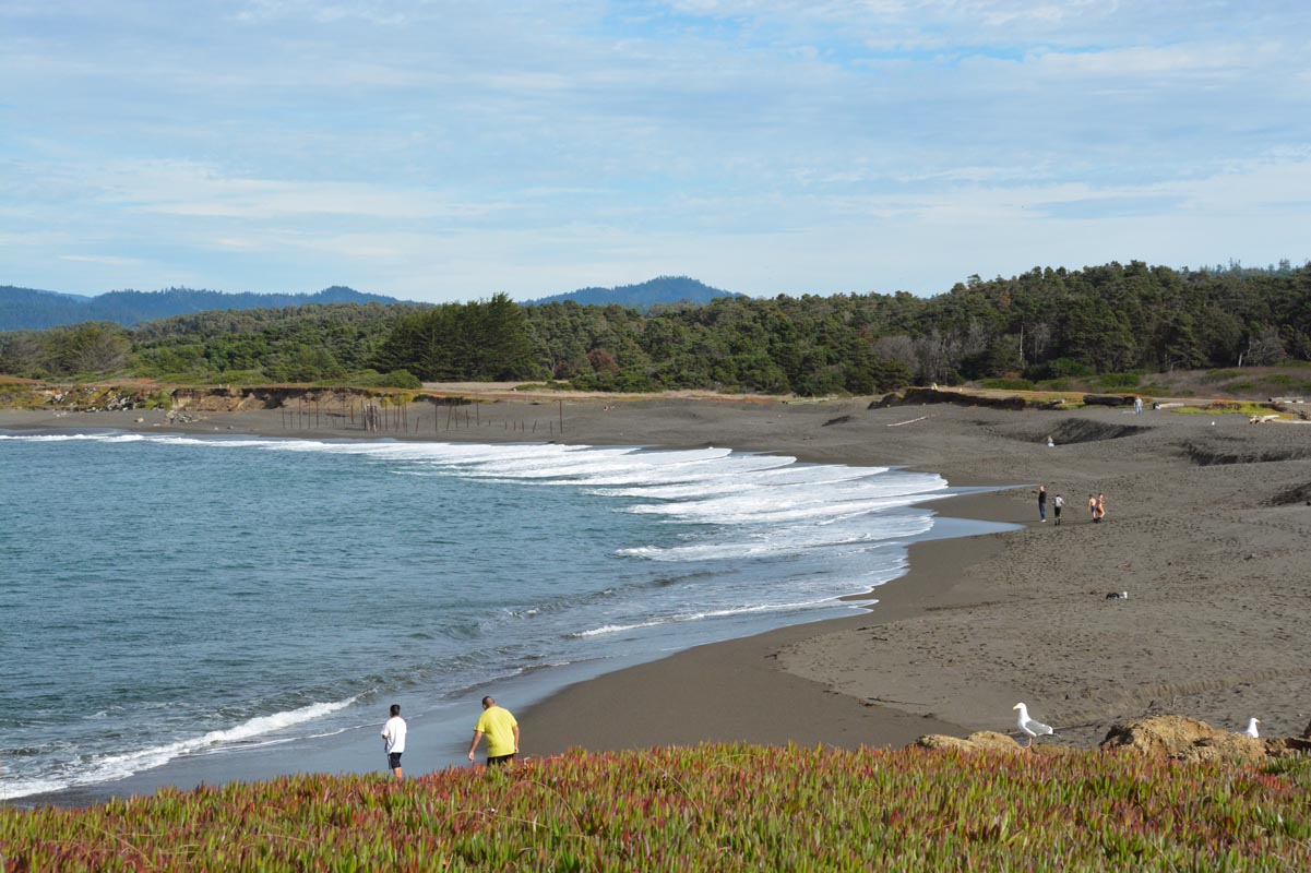 MacKerricher State Park